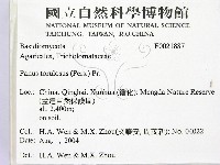 登錄號:F0021887藏品圖，第2張