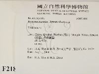 木層孔菌屬藏品圖，第2張