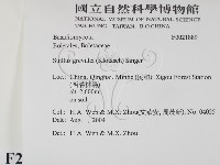 登錄號:F0021889藏品圖，第2張