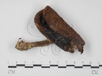 登錄號:F0021889藏品圖，第1張