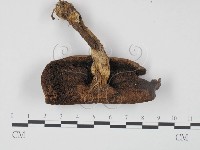 登錄號:F0021889藏品圖，第3張