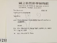 登錄號:F0021891藏品圖，第2張