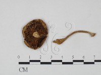登錄號:F0021891藏品圖，第3張