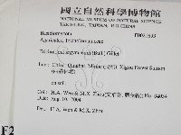 登錄號:F0021893藏品圖，第2張