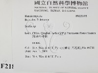 登錄號:F0021895藏品圖，第2張