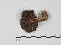 登錄號:F0021895藏品圖，第3張