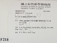 登錄號:F0021896藏品圖，第2張