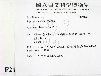 登錄號:F0021897藏品圖，第2張