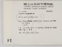 登錄號:F0021898藏品圖，第2張