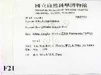 登錄號:F0021900藏品圖，第2張