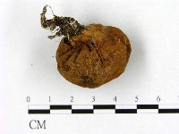 登錄號:F0021900藏品圖，第3張