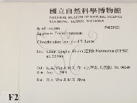 登錄號:F0021901藏品圖，第2張