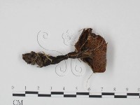 登錄號:F0021901藏品圖，第3張