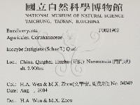 登錄號:F0021902藏品圖，第2張