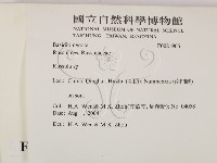 紅菇屬藏品圖，第2張