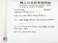 登錄號:F0021906藏品圖，第2張