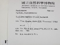 登錄號:F0021907藏品圖，第2張
