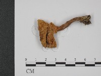 登錄號:F0021907藏品圖，第1張