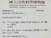 登錄號:F0021908藏品圖，第2張