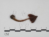 登錄號:F0021908藏品圖，第3張