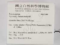 登錄號:F0021909藏品圖，第2張