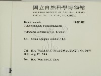 登錄號:F0021910藏品圖，第2張