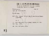 登錄號:F0021911藏品圖，第2張