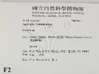 登錄號:F0021912藏品圖，第2張