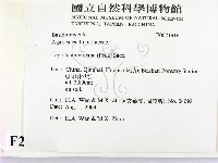 登錄號:F0021916藏品圖，第2張