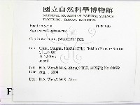 登錄號:F0021920藏品圖，第2張