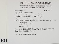 登錄號:F0021921藏品圖，第2張