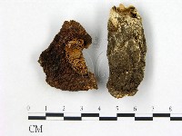 登錄號:F0021922藏品圖，第1張
