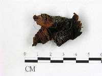 登錄號:F0021923藏品圖，第1張