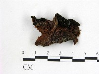 登錄號:F0021923藏品圖，第3張