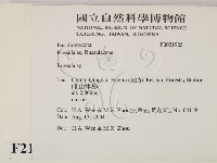 紅菇屬藏品圖，第2張
