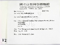 登錄號:F0021926藏品圖，第2張