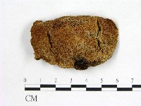 登錄號:F0021927藏品圖，第1張