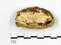登錄號:F0021927藏品圖，第3張