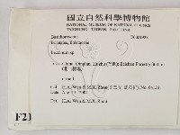 登錄號:F0021928藏品圖，第2張