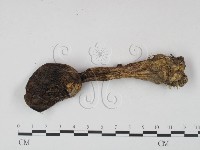 登錄號:F0021928藏品圖，第3張