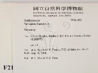 紅菇屬藏品圖，第2張
