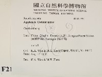 登錄號:F0021931藏品圖，第2張