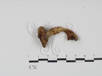 登錄號:F0021931藏品圖，第1張