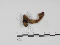 登錄號:F0021931藏品圖，第3張