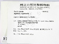 登錄號:F0021932藏品圖，第2張