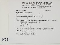 登錄號:F0021933藏品圖，第2張