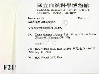 登錄號:F0021934藏品圖，第2張