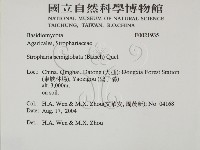 登錄號:F0021935藏品圖，第2張