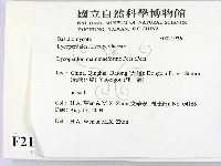 登錄號:F0021936藏品圖，第2張