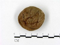 登錄號:F0021936藏品圖，第1張